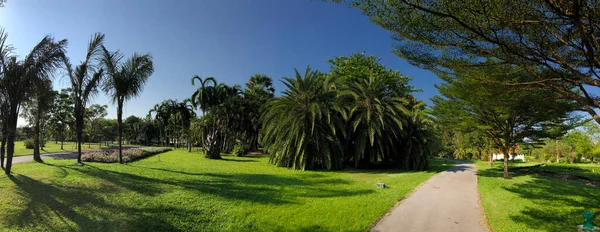 Panorama Caminho Através Parque Rei Rama Bangkok Tailândia — Fotografia de Stock