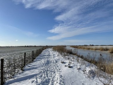 Friesland, Hollanda 'da Sneek civarında donmuş bir kanalın yanında kar var. 