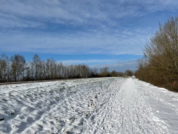 Caminho Bicicleta Nevado Ponte Sobre Canal Prinses Margriet Frísia Países — Fotografia de Stock