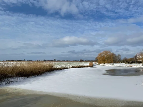 Замерзшее Озеро Вокруг Чика Фрисландия Нидерланды — стоковое фото