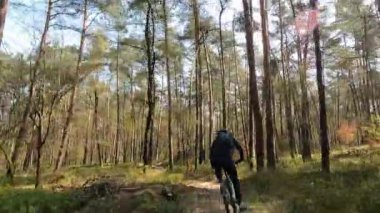 Hollanda 'daki Hoge Veluwe Ulusal Parkı' nda dağ bisikleti.