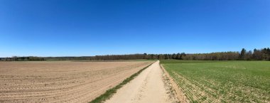 Montferland, Gelderland, Hollanda 'daki Zeddam çevresindeki MTB patikasından Panorama.