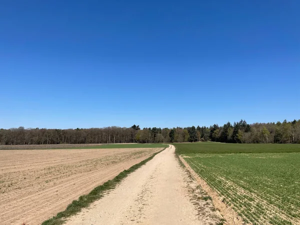 Sendero Mtb Alrededor Zeddam Montferland Güeldres Países Bajos — Foto de Stock