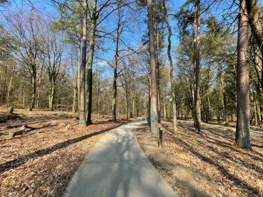 Hollanda 'daki Hoge Veluwe Ulusal Parkı' nda bisiklet yolu