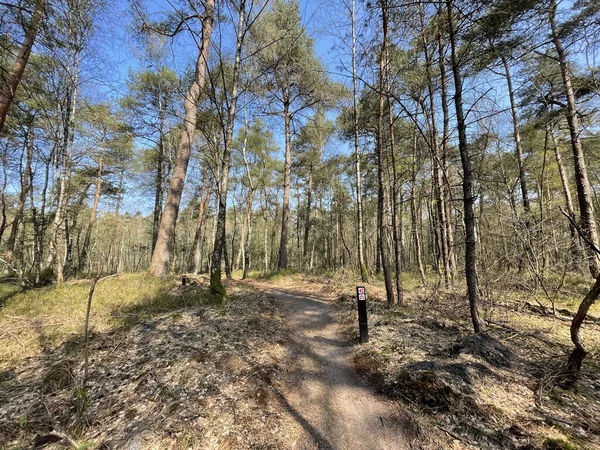 Horská Stezka Značka Lesích Národního Parku Hoge Veluwe Nizozemsku — Stock fotografie