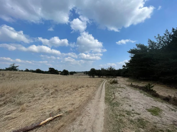 Sendero Para Bicicletas Montaña Parque Nacional Hoge Veluwe Los Países — Foto de Stock