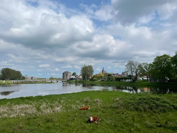 Πόλη Hardenberg Στο Overijssel Ολλανδία — Φωτογραφία Αρχείου