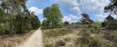 Overijssel 'deki Sallandse Heuvelrug Ulusal Parkı' ndan panoramik