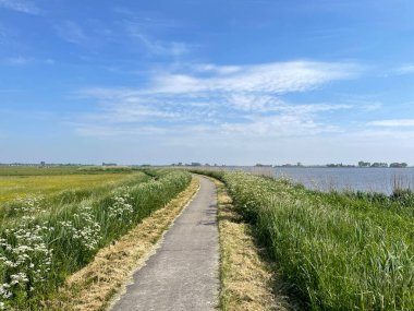 Path around a lake in Friesland The Netherlands