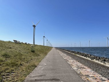 Sheep on a dike around the Rotterdamse Hoek a dike in the Noordoostpolder of the Netherlands