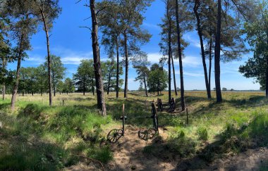 Hollanda, Drenthe 'deki Wateren çevresindeki orman