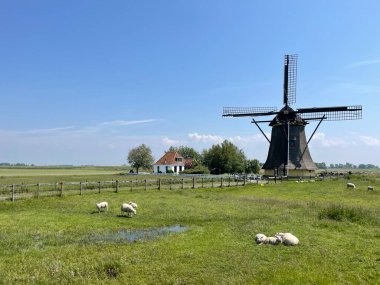 Hollanda, Friesland 'daki Workum çevresindeki yel değirmeni.