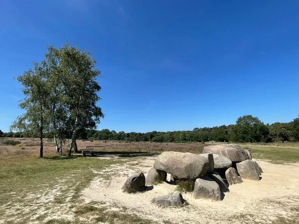 Hollanda, Drenthe 'deki Havelterberg civarındaki Dolmen' ler.