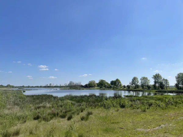Naturschutzgebiet Lendevallei Rund Wolvega Friesland Die Niederlande — Stockfoto