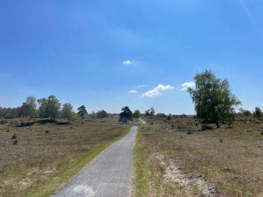 Path through Drents-Friese Wold National Park in Friesland the Netherlands