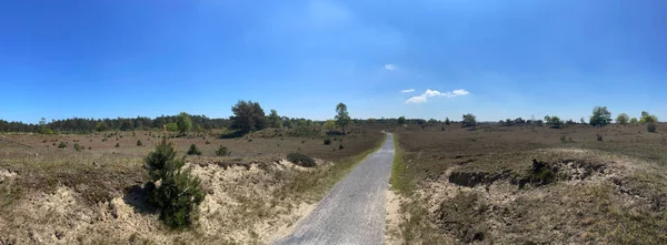 Panorama Path Drents Friese Wold National Park Friesland — стокове фото