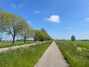 Hollanda, Friesland 'da Aldeboardlar' ın çevresindeki yol.