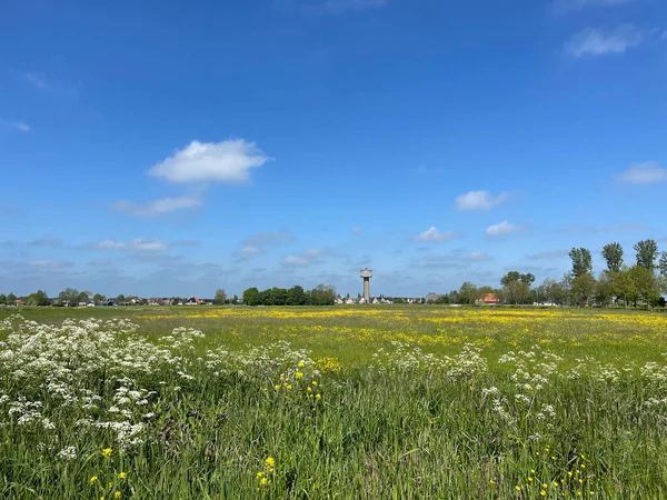 Landskap Runt Nes Friesland Nederländerna — Stockfoto