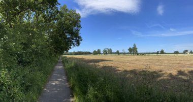 Friesland, Hollanda 'da Hemrik' in çevresindeki bir patikadan Panorama.