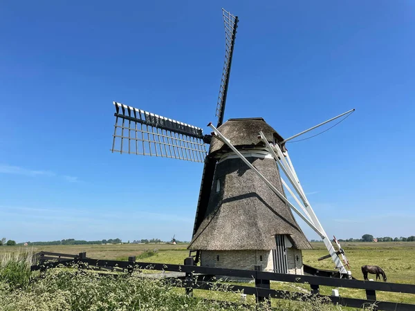 Ветряная Мельница Вокруг Гру Фрисландии Нидерланды — стоковое фото