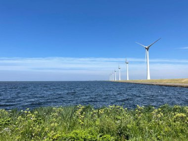 Hollanda 'nın Noordoostpolder' inde bir hendekte yel değirmenleri