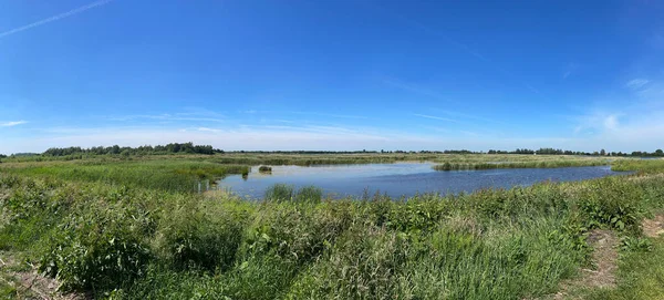 Panorama Lake Nature Scenery Weerribben Wieden National Park Overijssel Netherlands — Stock Photo, Image