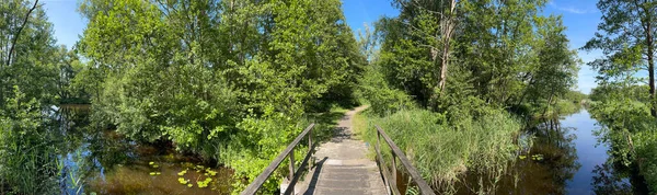 Panorama Depuis Votre Canal Autour Kalenberg Parc National Weerribben Wieden — Photo