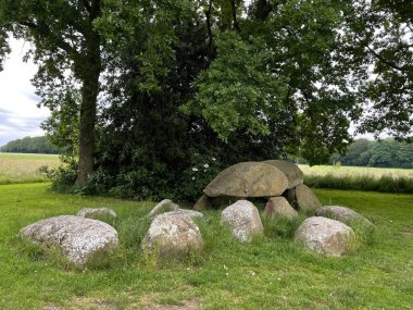 Drenthe Hollanda 'da Westervelde Dolmen