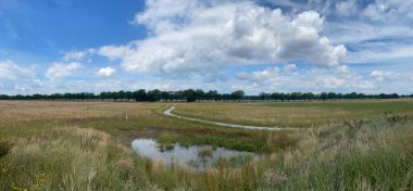 Drenthe Hollanda 'daki Drenthe-Friese Wold Milli Parkı' ndan geçen bir patikadan Panorama 'ya.