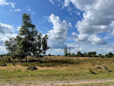 Hollanda Drenthe 'deki Ulusal Park Dwingelderveld manzarası