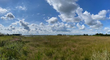 Hollanda Drenthe 'deki Ulusal Park Dwingelderveld manzara manzarası