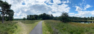 Hollanda Drenthe 'deki Ulusal Park Dwingelderveld' den geçen yol