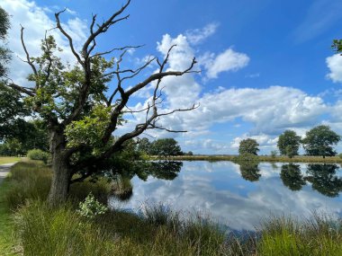 Hollanda, Drenthe 'deki Ulusal Park Dwingelderveld Gölü