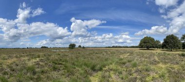 Hollanda Drenthe 'deki Ulusal Park Dwingelderveld' den Panorama