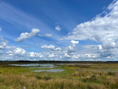 Hollanda Drenthe 'deki Ulusal Park Dwingelderveld Manzarası