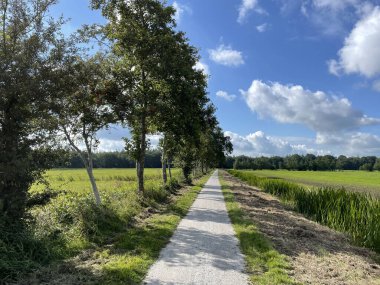 Hollanda, Friesland 'da Beesterzwaag' a giden yol