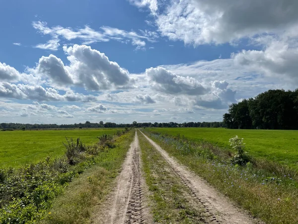 Piaszczysta Droga Wokół Beesterzwaag Friesland Holandii — Zdjęcie stockowe