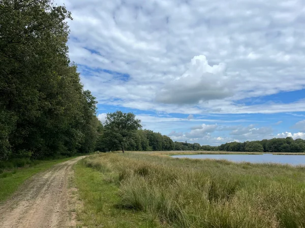 Hollanda Friesland Daki Wijnjewoude Çevresindeki Göl Kum Yolu — Stok fotoğraf