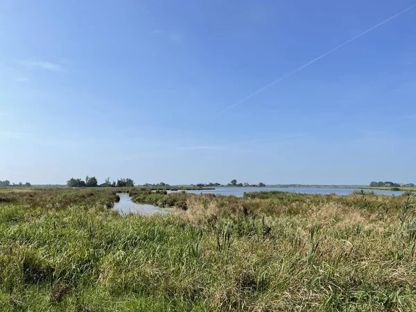 Natur Rund Feanwalden Friesland Die Niederlande — Stockfoto