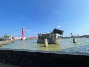 Hollanda Rotterdam 'daki Nieuwe Maas Kanalı üzerindeki Willemsbridge.