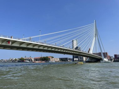 Hollanda Rotterdam 'daki Nieuwe Maas Kanalı üzerindeki Erasmus Köprüsü