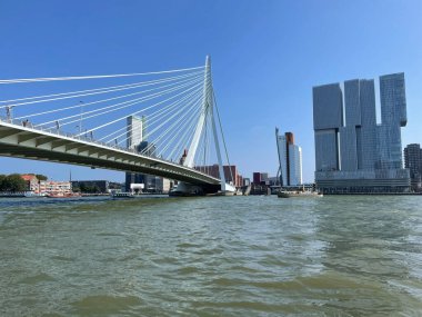 Hollanda 'daki Nieuwe Maas Kanalı üzerindeki Erasmus Köprüsü ile Rotterdam' ın silueti.