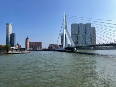 Hollanda 'daki Nieuwe Maas Kanalı üzerindeki Erasmus Köprüsü ile Rotterdam' ın silueti.
