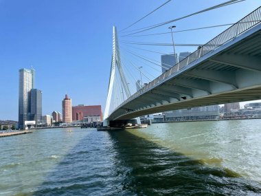 Hollanda 'daki Nieuwe Maas Kanalı üzerindeki Erasmus Köprüsü ile Rotterdam' ın silueti.