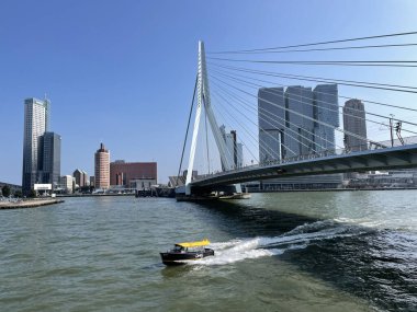 Hollanda 'daki Nieuwe Maas Kanalı üzerindeki Erasmus Köprüsü ile Rotterdam' ın silueti.