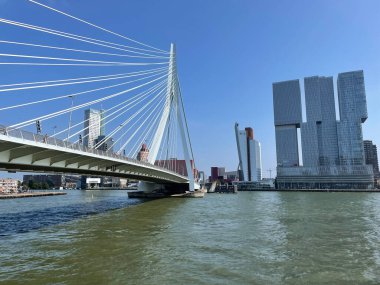 Hollanda 'daki Nieuwe Maas Kanalı üzerindeki Erasmus Köprüsü ile Rotterdam' ın silueti.