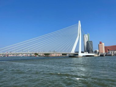 Hollanda 'daki Nieuwe Maas Kanalı üzerindeki Erasmus Köprüsü ile Rotterdam' ın silueti.