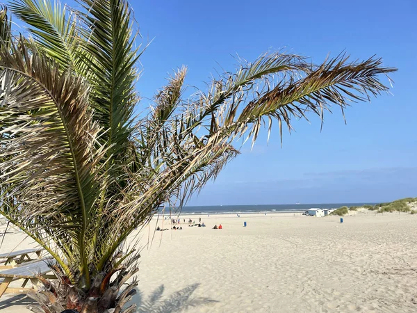 Plaża Hoek Van Holland Holandii — Zdjęcie stockowe