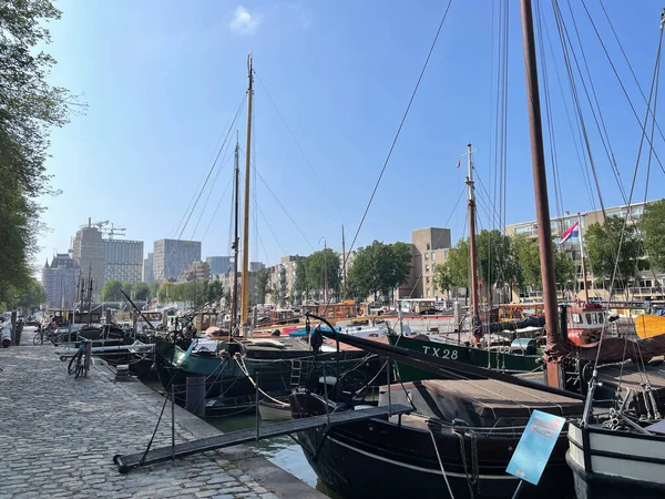 Hollanda 'daki Rotterdam' ın eski limanı ve silueti