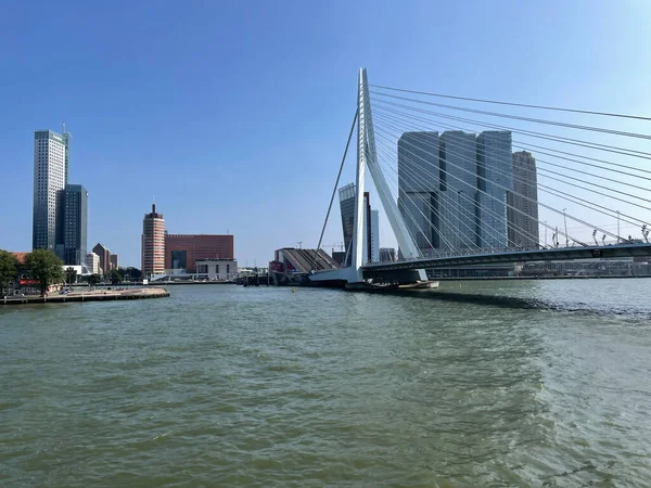Skyline Rotterdam Avec Pont Erasmus Sur Canal Nieuwe Maas Aux — Photo